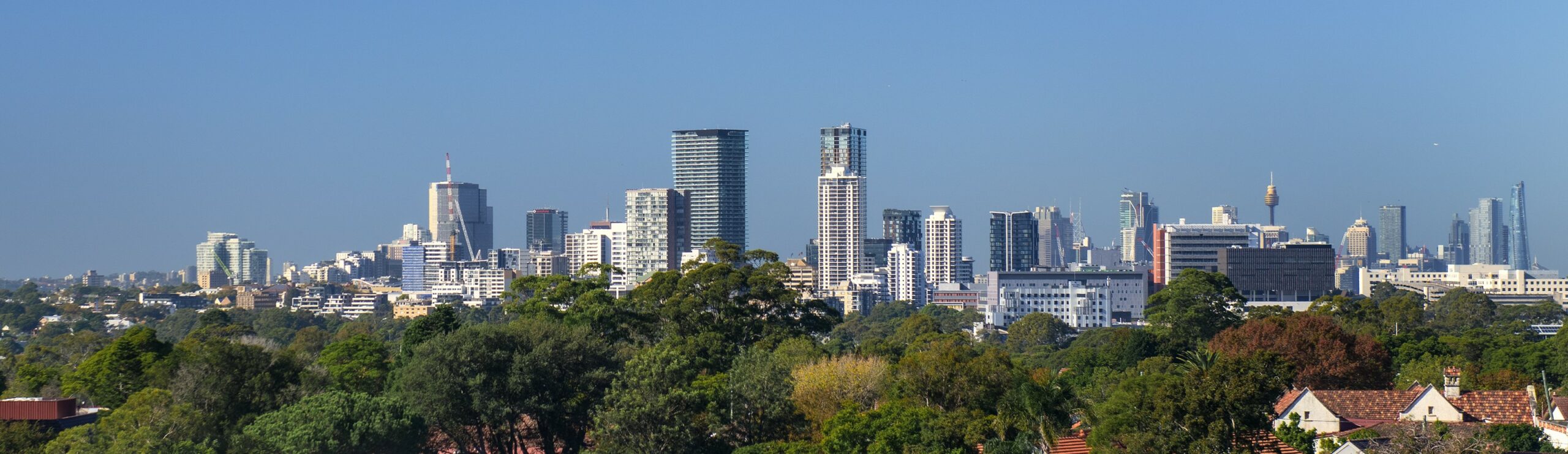Rooftop view over Chatswood from Dougherty Apartments.